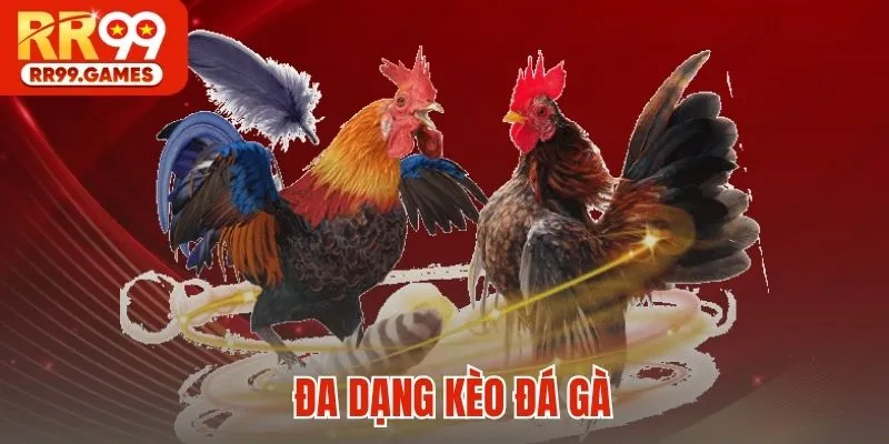 Đa dạng kèo đá gà