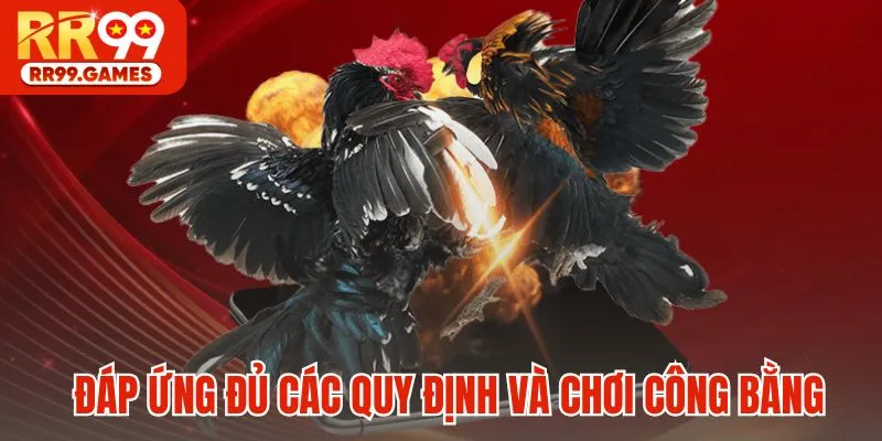 Đáp ứng đủ các quy định và chơi công bằng